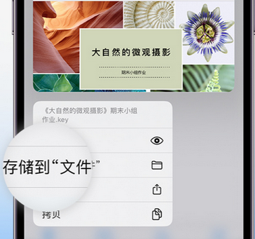 茌平apple维修中心分享iPhone文件应用中存储和找到下载文件