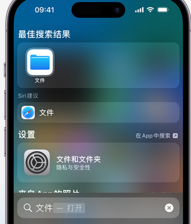 茌平apple维修中心分享iPhone文件应用中存储和找到下载文件