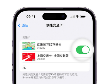 茌平apple维修点分享iPhone上更换Apple Pay快捷交通卡手绘卡面 