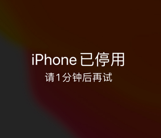 茌平苹果手机维修分享:iPhone 显示“不可用”或“已停用”怎么办？还能保留数据吗？ 