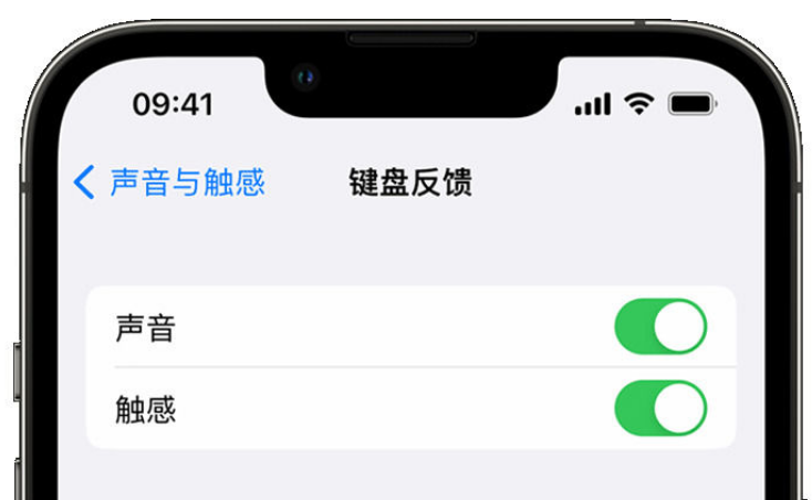 茌平苹果手机维修分享iPhone 14触感键盘使用方法 