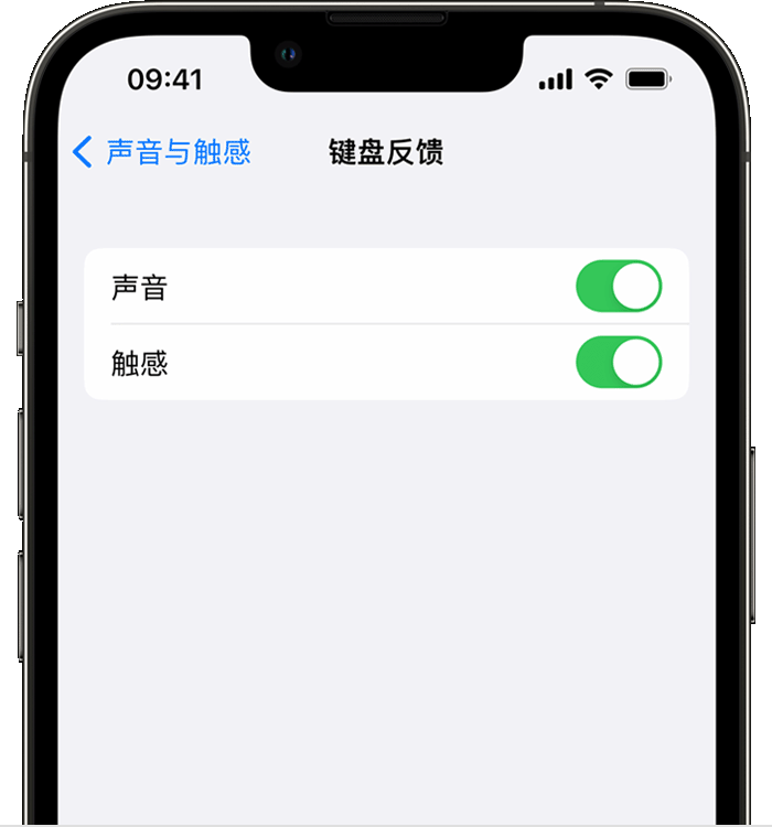 茌平苹果14维修店分享如何在 iPhone 14 机型中使用触感键盘 