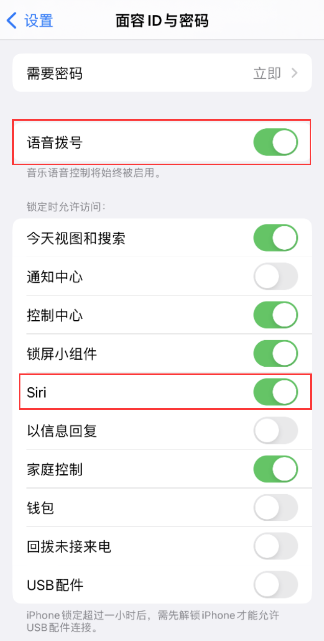 茌平苹果维修网点分享不解锁 iPhone 的情况下通过 Siri 拨打电话的方法 