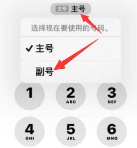 茌平苹果14维修店分享iPhone 14 Pro Max使用副卡打电话的方法 