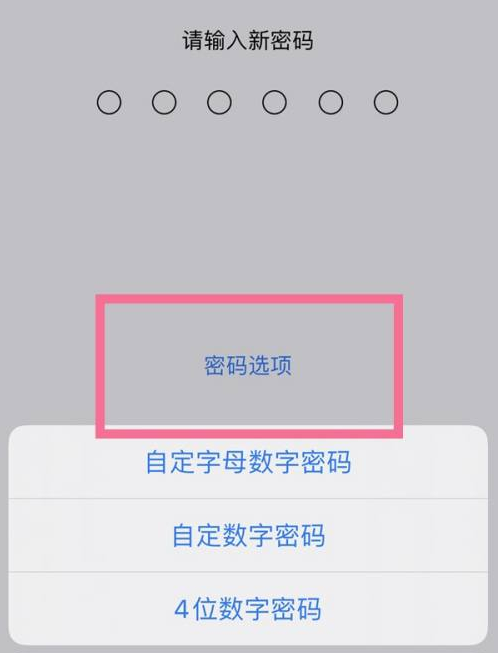 茌平苹果14维修分享iPhone 14plus设置密码的方法 