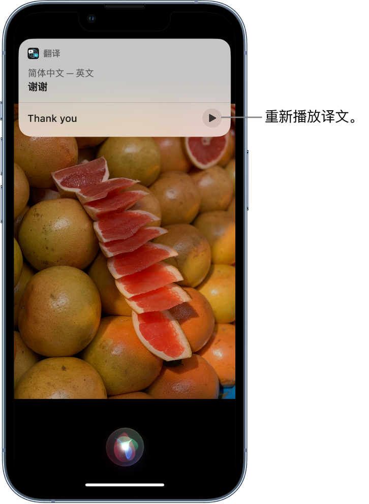 茌平苹果14维修分享 iPhone 14 机型中使用 Siri：了解 Siri 能帮你做什么 