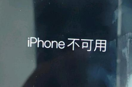 茌平苹果服务网点分享锁屏界面显示“iPhone 不可用”如何解决 