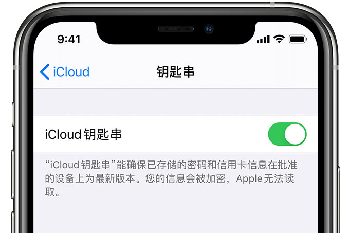 茌平苹果手机维修分享在 iPhone 上开启 iCloud 钥匙串之后会储存哪些信息 