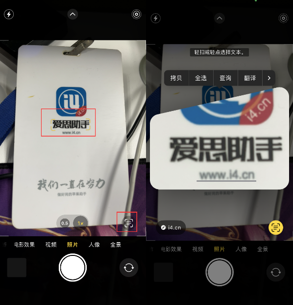 茌平苹果手机维修分享升级iOS 16后如何通过相机翻译文本 