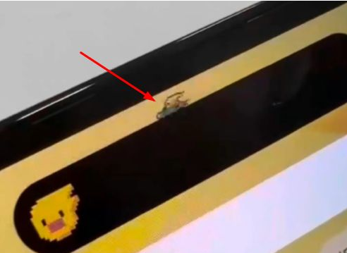 茌平苹果14维修分享iPhone 14 Pro Max灵动岛怎么养宠物 