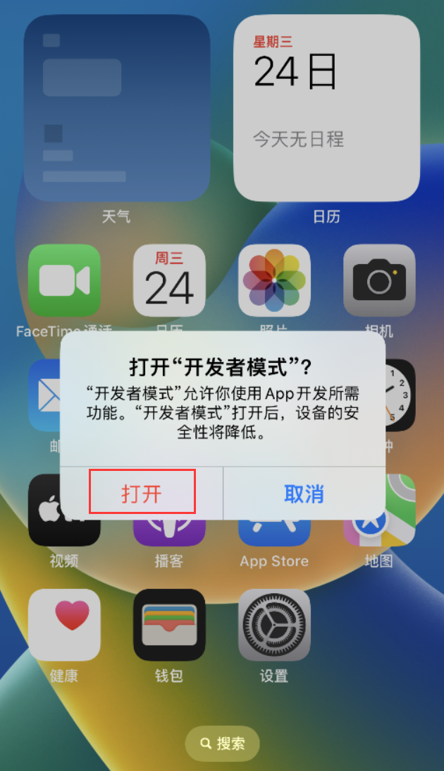 茌平苹果手机维修分享如何打开开发者模式 