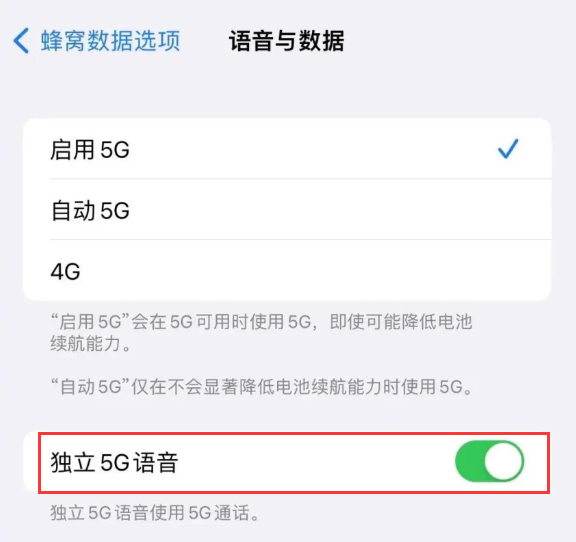 茌平苹果14维修分享iPhone 14 Pro如何开启VoNR 