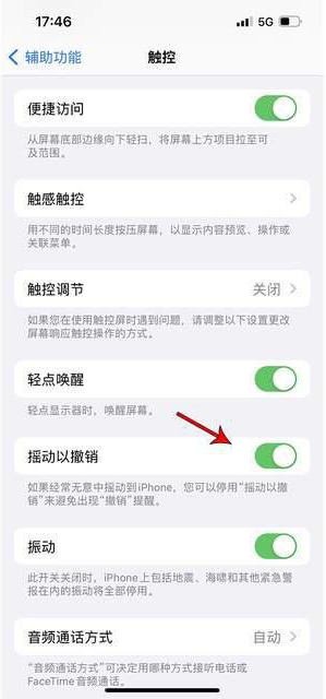 茌平苹果手机维修分享iPhone手机如何设置摇一摇删除文字 