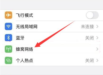 茌平苹果手机维修分享iPhone手机4G网络怎么设置成5G网络 