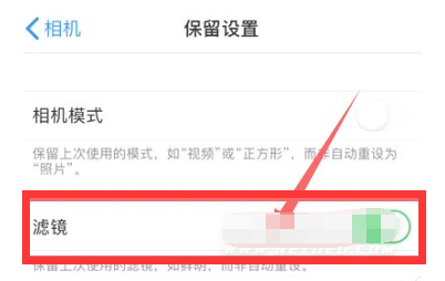 茌平苹果13维修分享iPhone13拍照有绿点是怎么回事 