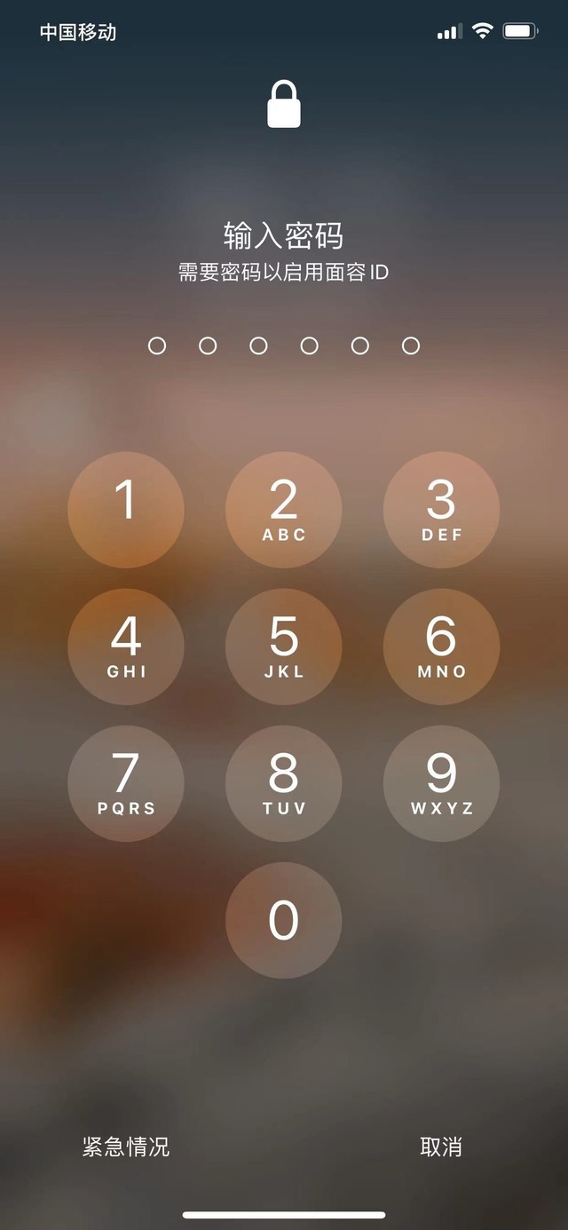 茌平苹果13维修分享iPhone 13加强锁屏功能有什么用 
