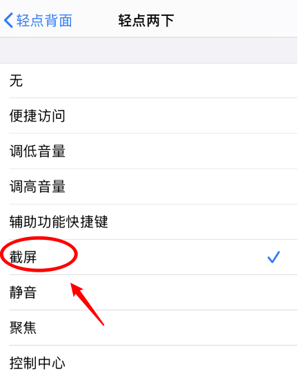 茌平苹果手机维修分享iPhone12如何启用双击截屏 