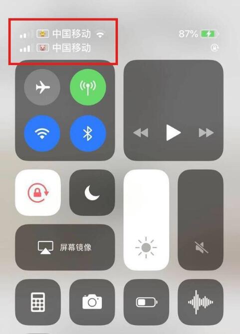 茌平苹果手机维修分享为 iPhone 12 双卡设置标签 