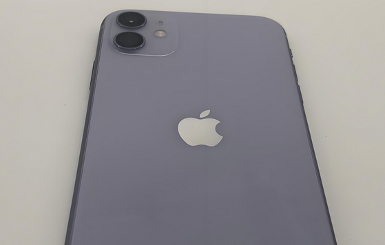茌平苹果11系统维修分享iPhone11手机系统崩溃无法开机如何解决